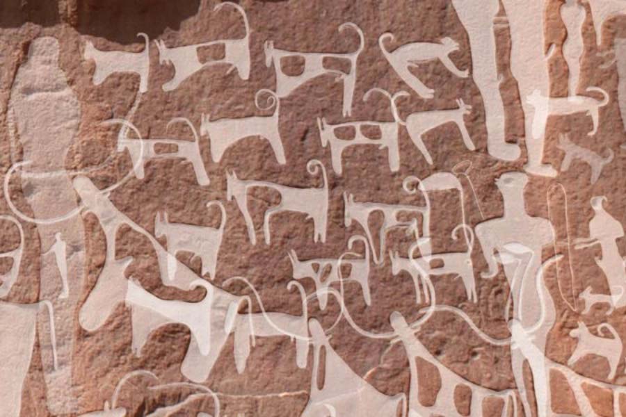 Cani al guinzaglio in una pittura rupestre del Neolitico