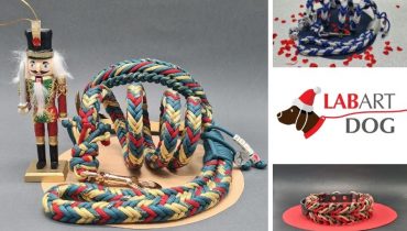 Natale a quattro zampe: le creazioni LabArt Dog si tingono dei colori delle feste!