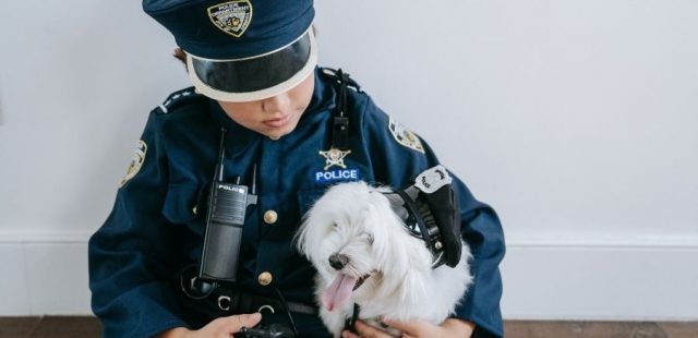 Il ruolo dei cani nella società: dalla pet therapy al salvataggio