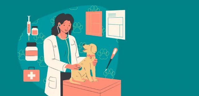 Vaccinazioni dei cani: la guida completa