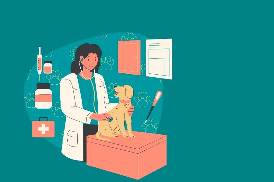 Vaccinazioni dei cani: la guida completa