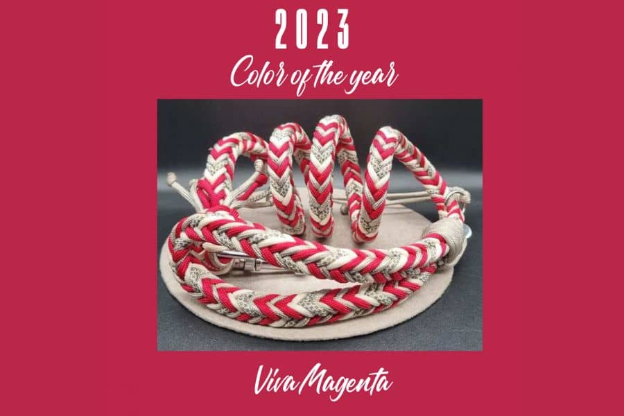 Viva Magenta è il Pantone color of the year 2023