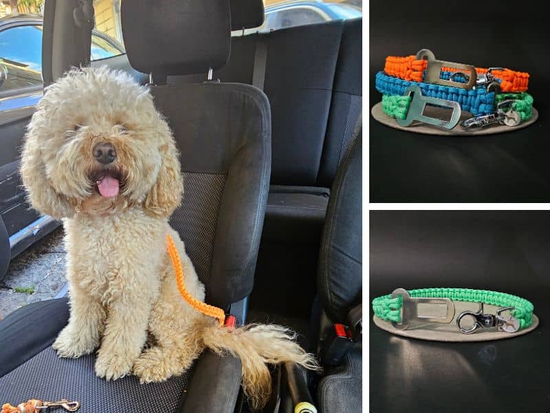 Novità: sono arrivate le cinture di sicurezza per cani targate LabArt Dog!