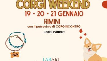 LabArt Dog partner dello scodinzolante Corgi Weekend 2024 di Rimini