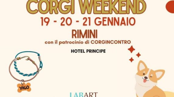 LabArt Dog partner dello scodinzolante Corgi Weekend 2024 di Rimini