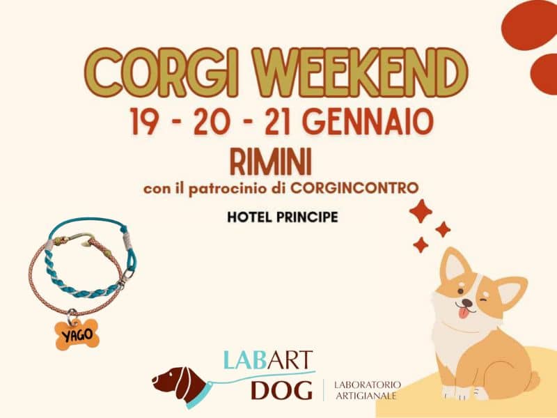 LabArt Dog partner del Corgi Weekend 2024 di Rimini!