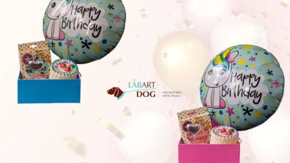 Rendi speciale il suo compleanno con la Birthday Box per cani personalizzabile!